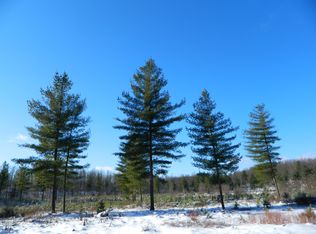 7303 Town Line Rd, Lyons Falls, NY 13368