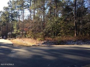 LOT 166 Royal Tern Dr, Hampstead, NC 28443