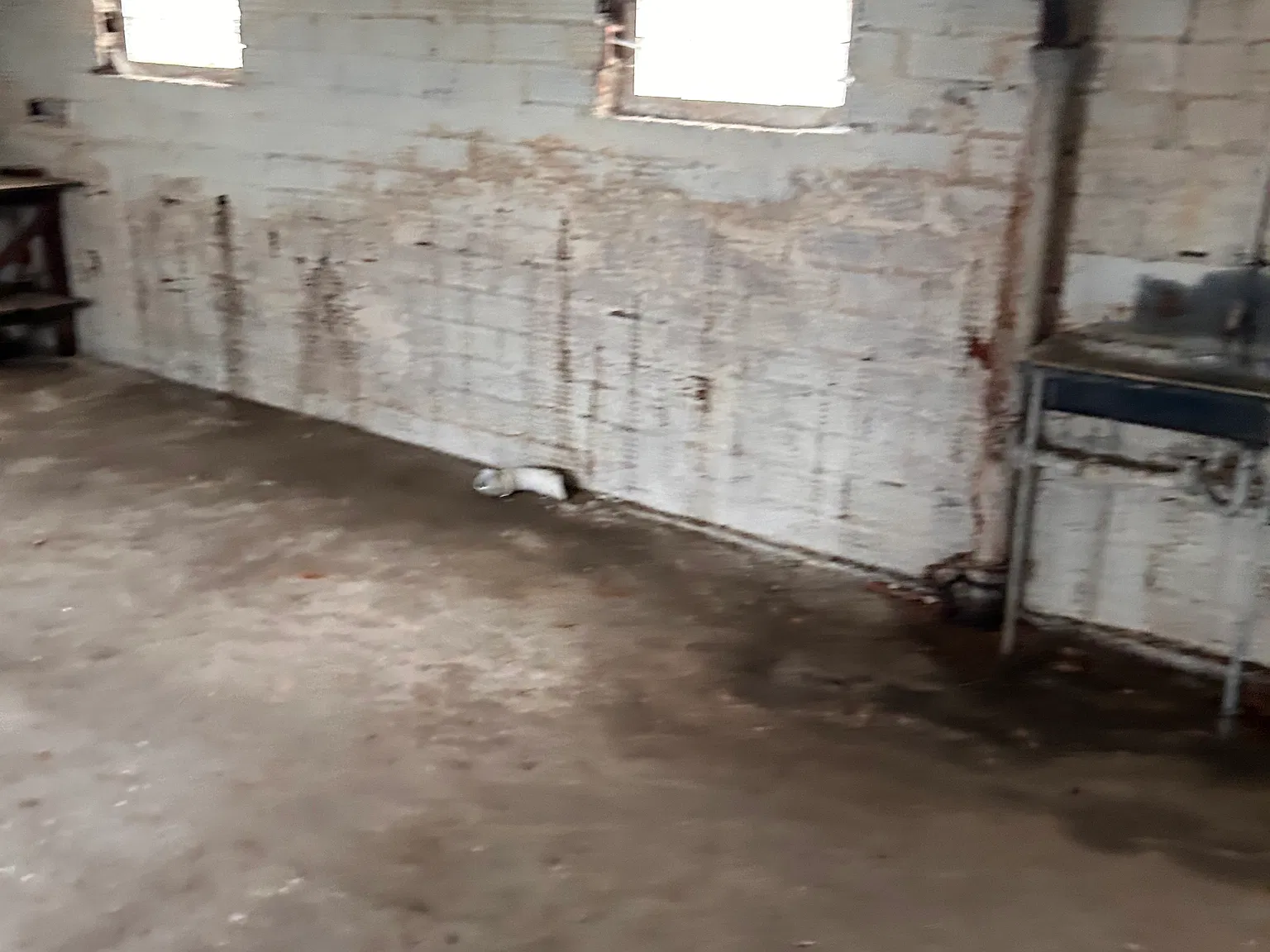 3 bed, 10 sqft, $925 — Photo 4