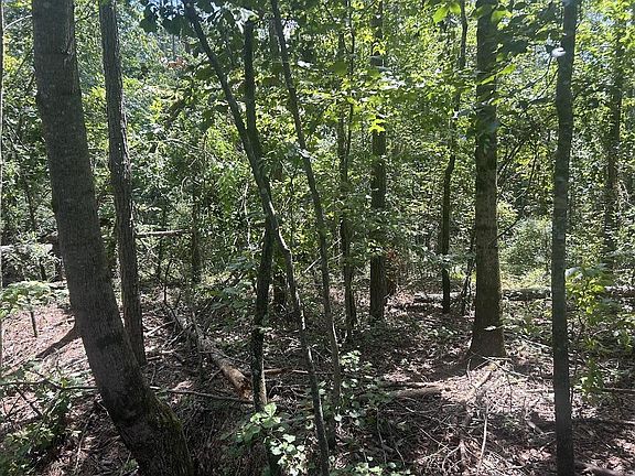 4th image of 111 Riversong Rd #55