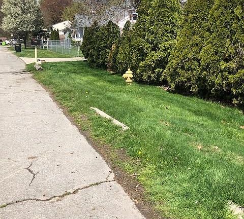 4th image of 27860 Hickler Ln