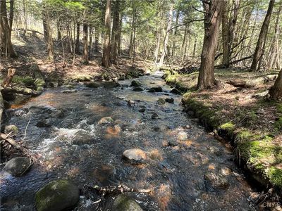 Hemlock Dr, Glenfield, NY, 13343