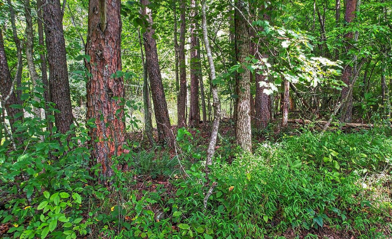 Tr2 Gumlog Road & Phillips, Young Harris, GA 30582 Zillow