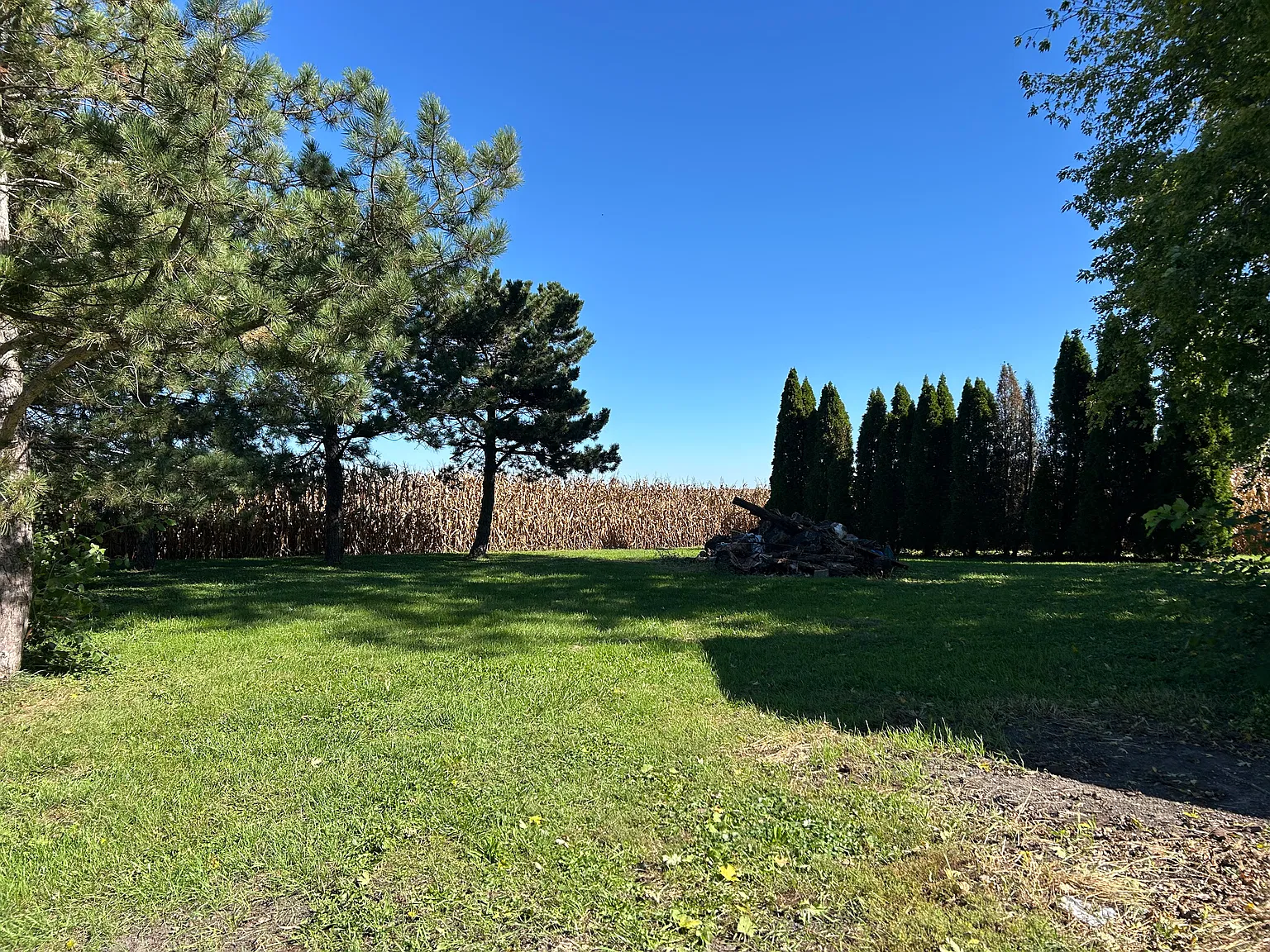 3 bed, 1500 sqft, $1,500 — Photo 2