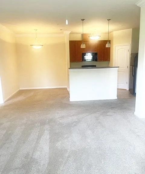 Clairmont at Hillandale — Photo 104