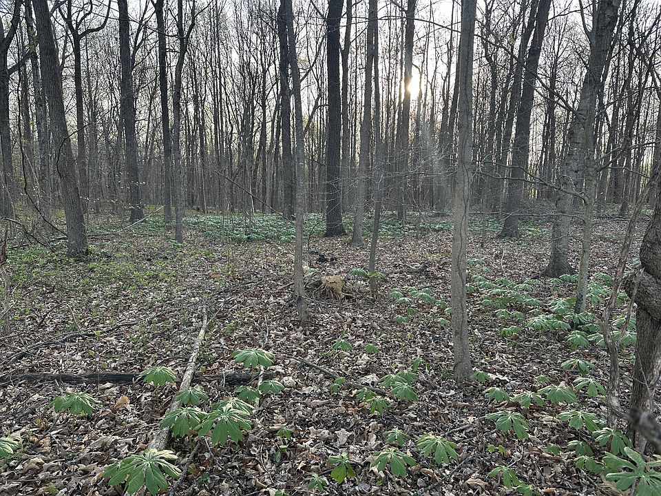 1st image of 2181 Highway 259 Lot 11