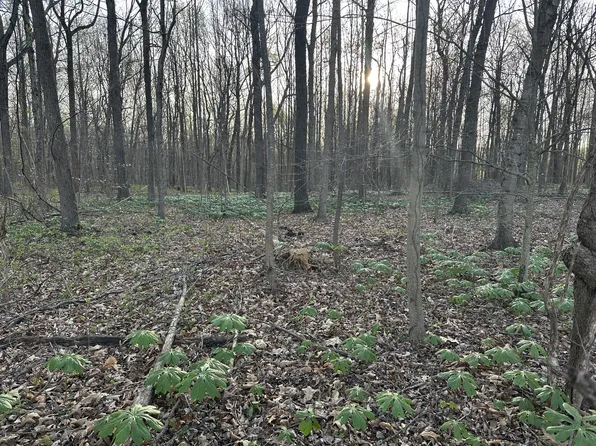 2181 Highway 259 Lot 11, Portland, TN 37148