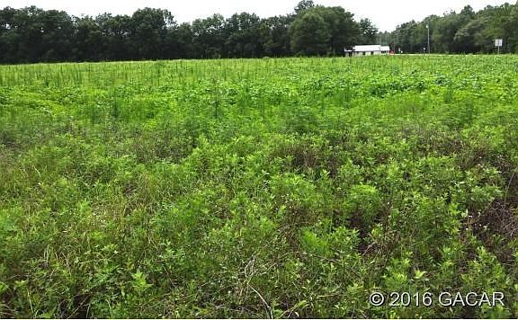 View south from the corner