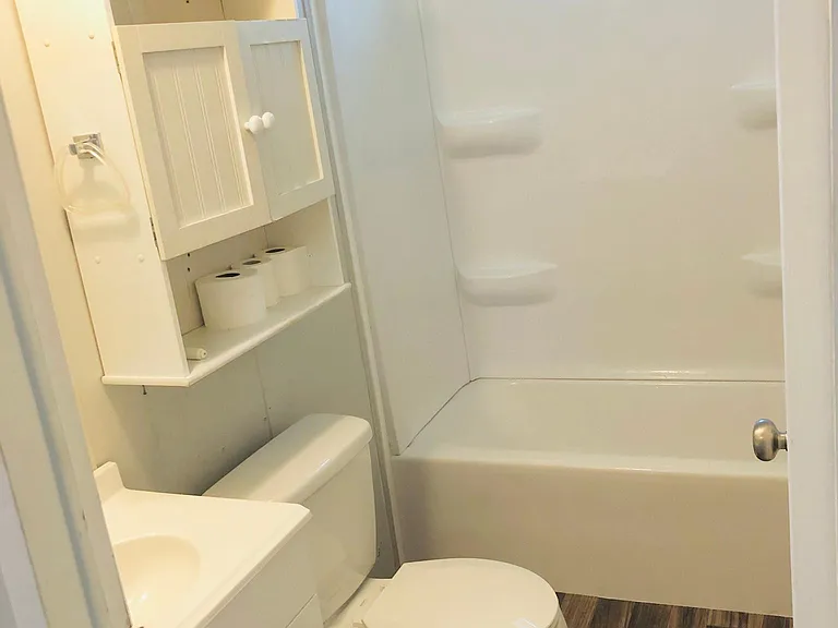 New toilet, bathtub and shower