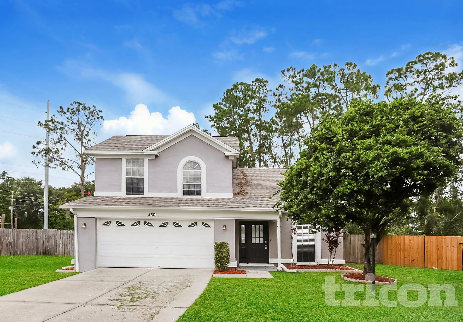 4501 Cabbage Palm Drive Valrico FL — Photo 1
