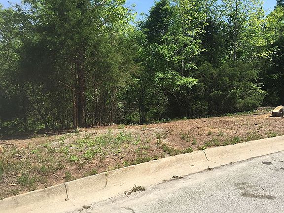 2nd image of 161 Cypress Cir