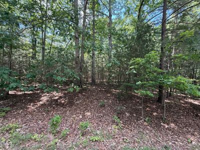 7801 Grand Lillie Dr Lot 2, Durham, NC, 27712