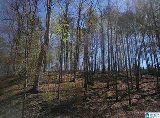 3405 Brook Mountain Ln, Mountain Brk, AL 35223