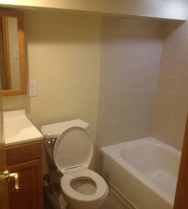 Lower Level Bathroom