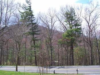 3rd image of 11460 Rawley Pike