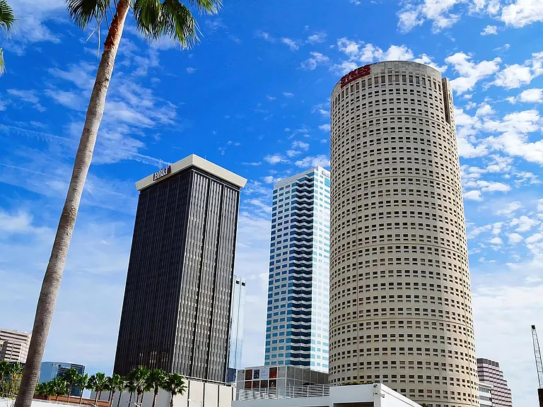 Downtown Tampa High-Rises and Palms Near Anchor Riverwalk Community