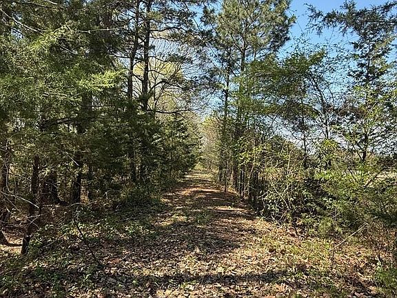 2nd image of 0 County Road 4310