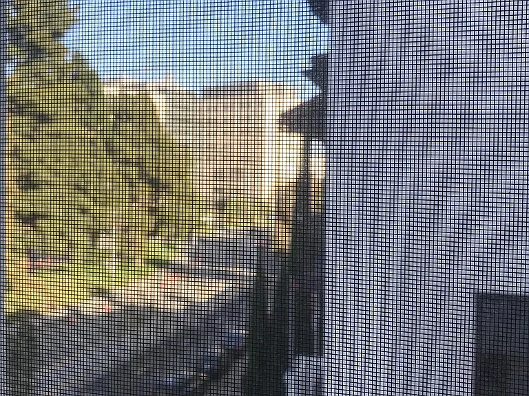 Hospital View