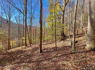 0 State Highway 209 #6, Hot Springs, NC 28743
