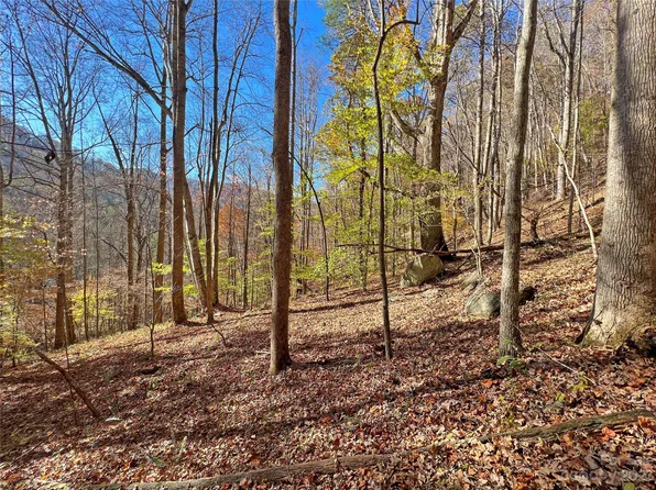 0 State Highway 209 #6, Hot Springs, NC 28743
