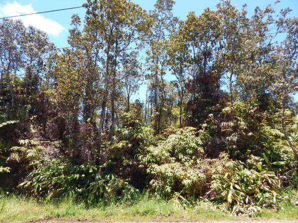 Ala Ohia St Lot 53-B-719, Volcano, HI 96785