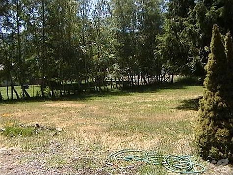 32 Fir Lane Mill A 004