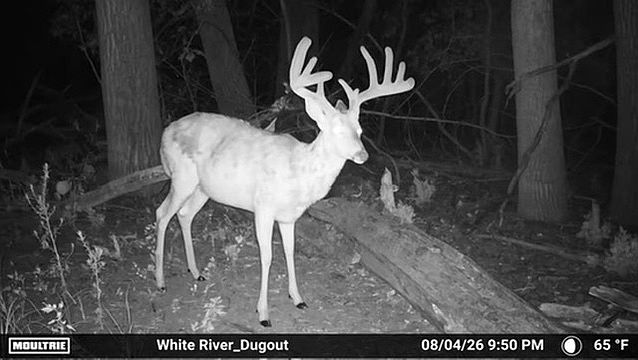 1st image of 30397 Burtz Rd