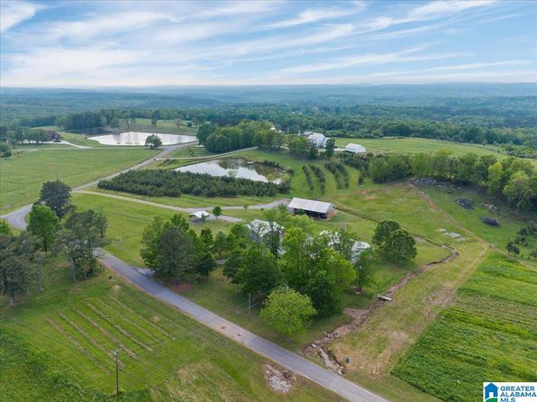 239 Gilliland Rd, Oneonta, AL 35121