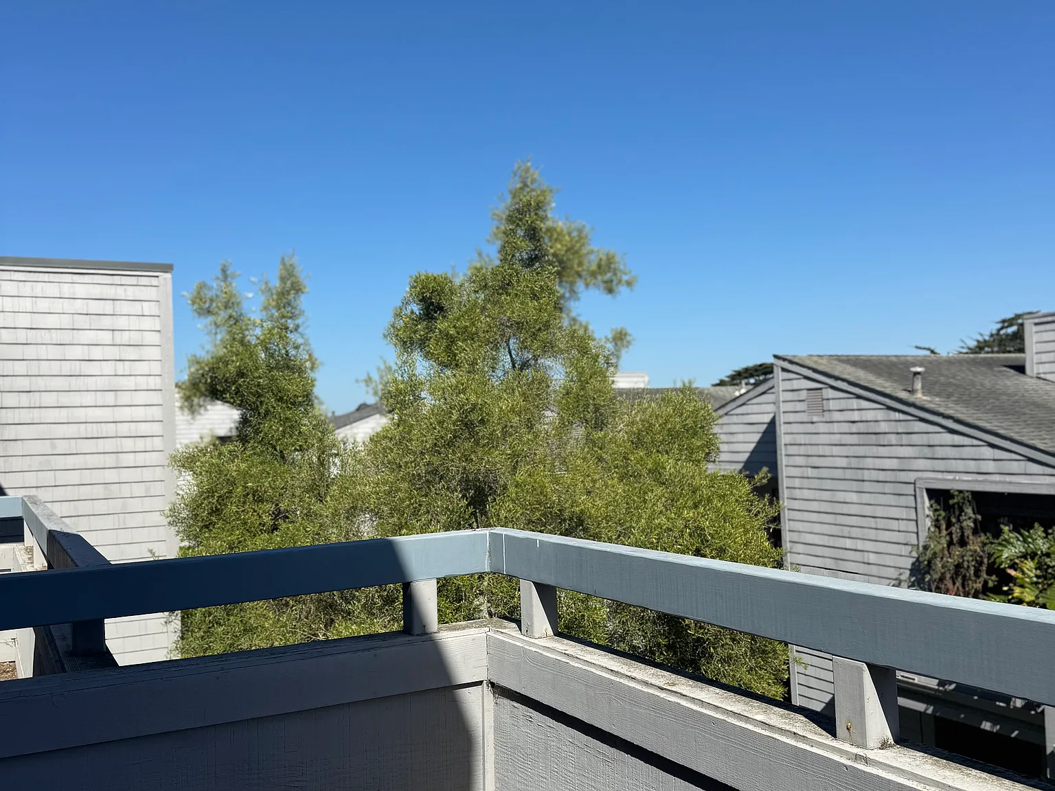 2 bed, 1120 sqft, $3,000 — Photo 4