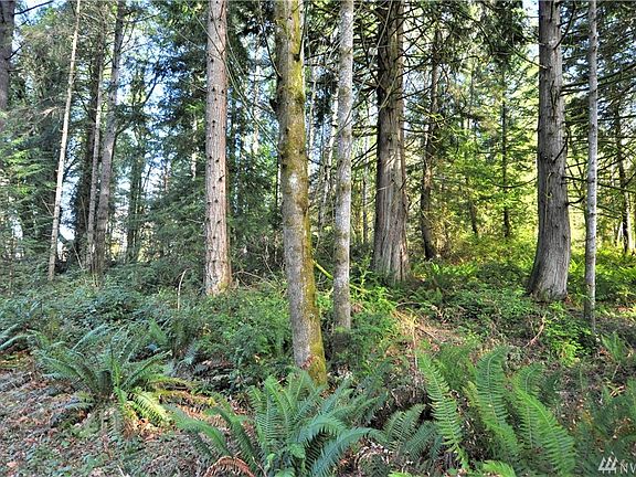 3rd image of 1219 158th Ave SW