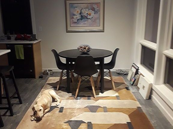 Dining room, with doggo