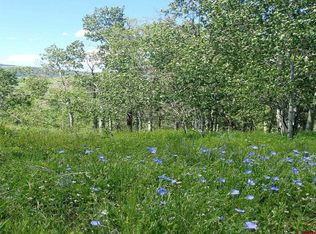 252 Neville Way, Crested Butte, CO 81224