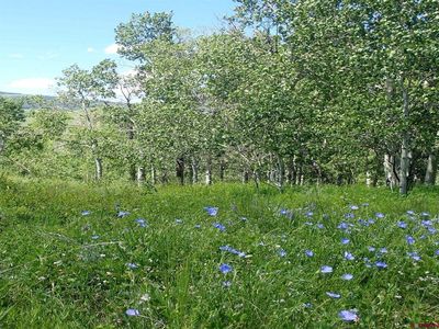 252 Neville Way, Crested Butte, CO, 81224
