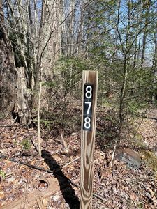 878 Lower Collison Rd, Mount Nebo, WV, 26679
