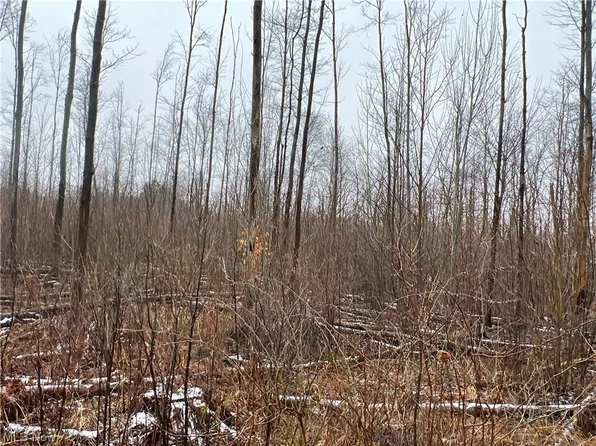 Creek Rd, Conneaut, OH 44030