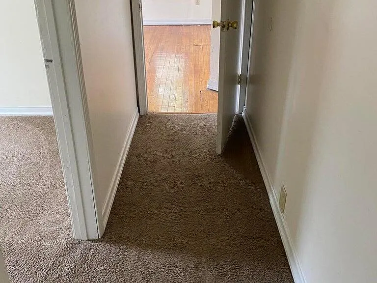 2430 Amelia Ave — Photo 8