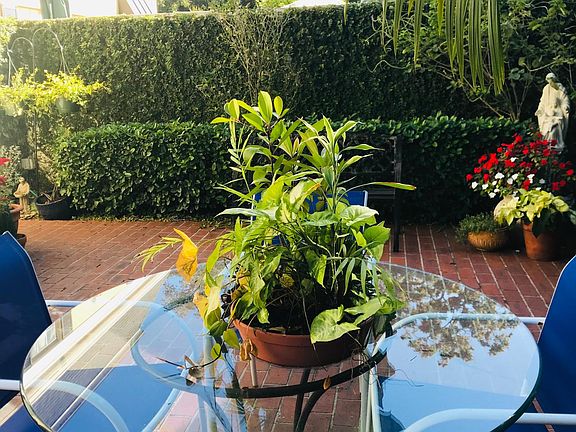 Accesible courtyard so peaceful and tranquil.