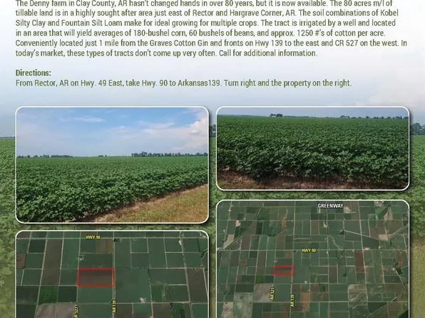 1111 County Road 139, Rector, AR 72461