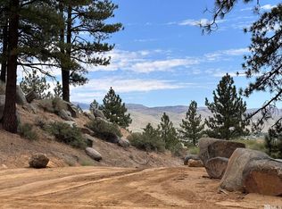 725 Kelly Canyon Rd, Washoe Valley, NV 89704