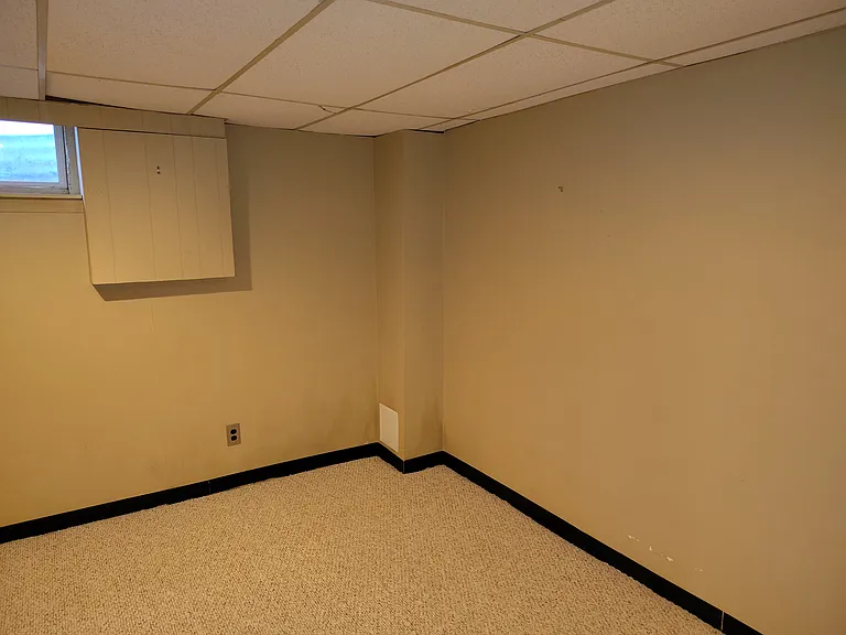 Front basement room with walk-in closet.