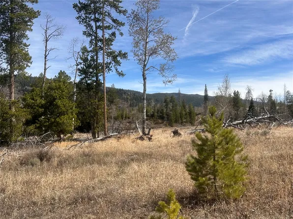 23910 Fargo Way, Oak Creek, CO 80467