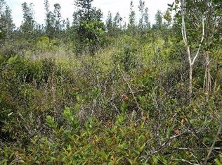 Road 1 Uhini Ana LOT 2394, Mountain View, HI 96771