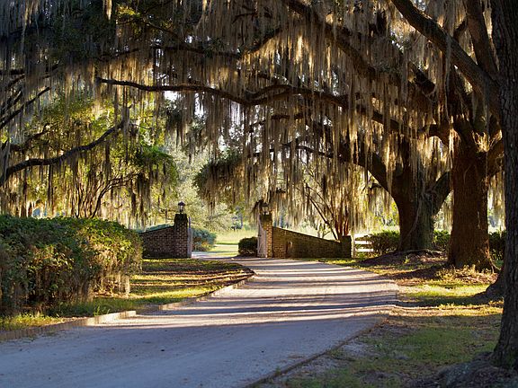 99th image of 1451 River Rd