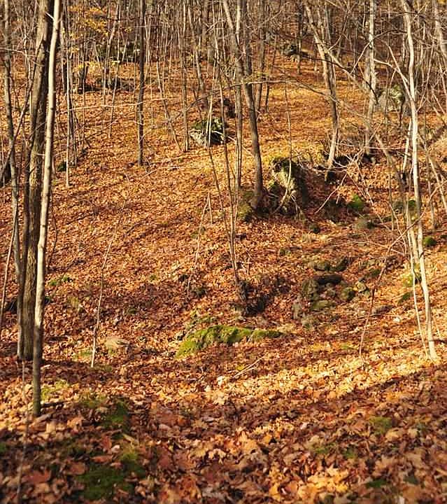 2nd image of 3850 Limmex Hill Rd