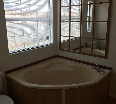 master bath garden tub