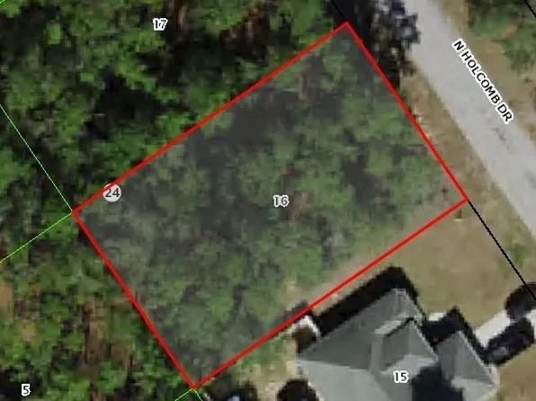 10378 N Holcomb Dr, Citrus Springs, FL 34434