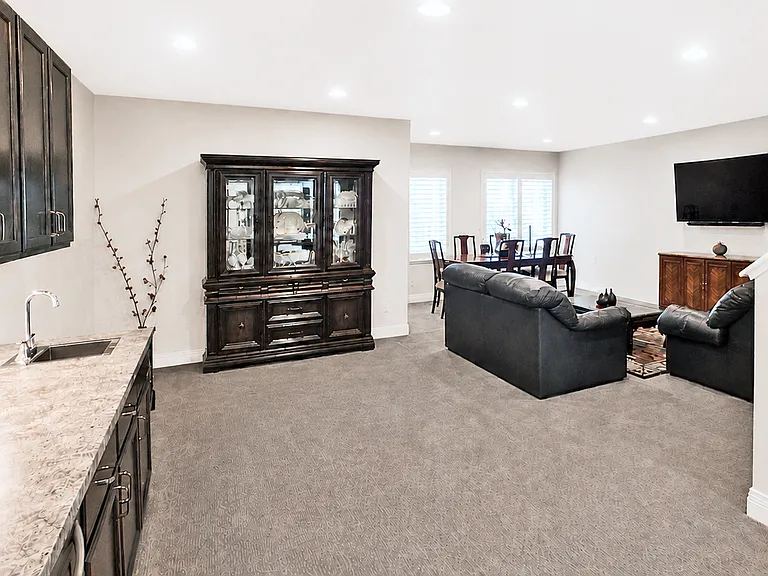 Basement Flex Room