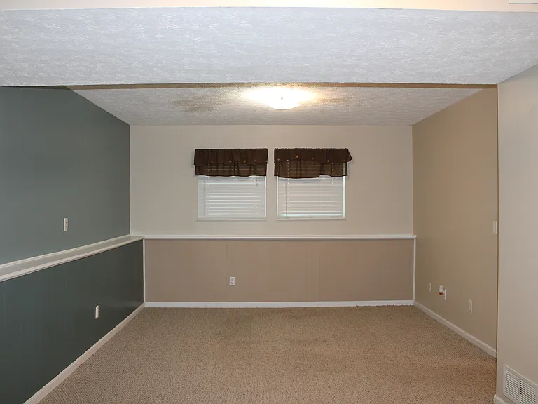 basement/lower level
