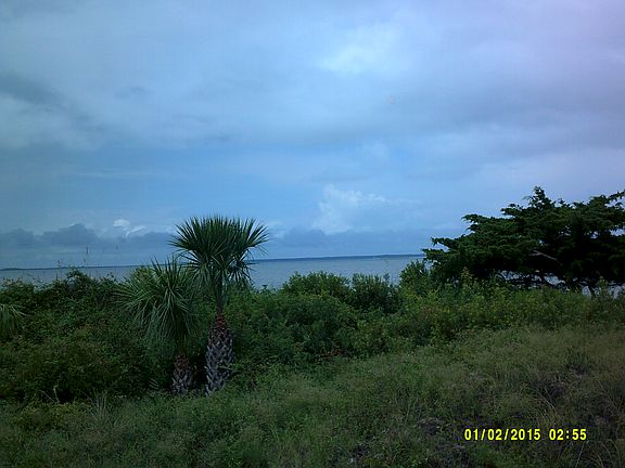 View from back porch