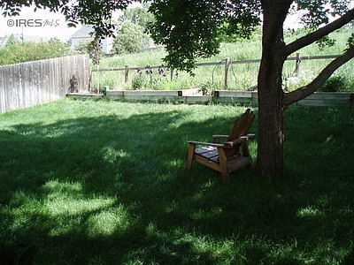 Beautiful Yard